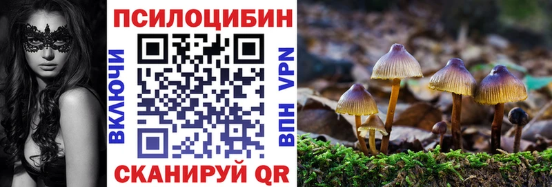 Галлюциногенные грибы Magic Shrooms  продажа наркотиков  Старая Купавна 